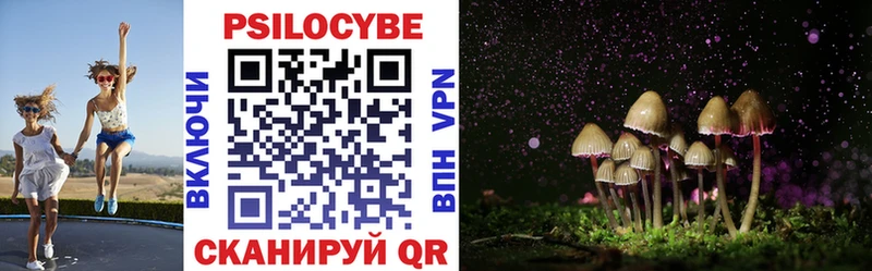 Псилоцибиновые грибы мицелий  Купить  Валуйки 